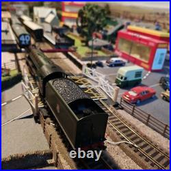 BACHMANN 00 GAUGE 32-551DS CLASS A1 60139 SEA EAGLE BR GREEN Early DCC SOUND