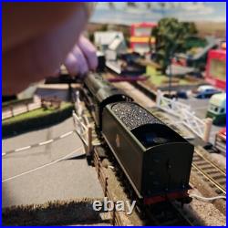 BACHMANN 00 GAUGE 32-551DS CLASS A1 60139 SEA EAGLE BR GREEN Early DCC SOUND