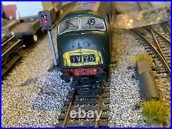 Bachmann 32-069 Class 43 Warship D841 Roebuck BR Green, ESU Loksound V4 Sound