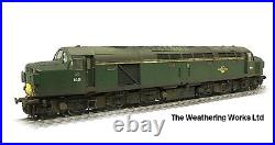 Boxed Bachmann BR Green Class 40 D338 PRO WEATHERED LOOK DCC SOUND