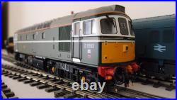 Heljan Class 33 33/2 BR Green D6593 (Hi Headlight) + DCC Chip and Sound