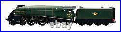 Hornby 00 Gauge R2340 Br 4-6-2 Class A4'golden Plover' 60031 DCC Tts Sound