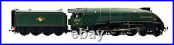 Hornby 00 Gauge R2340 Br 4-6-2 Class A4'golden Plover' 60031 DCC Tts Sound