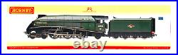 Hornby 00 Gauge R2340 Br 4-6-2 Class A4'golden Plover' 60031 DCC Tts Sound