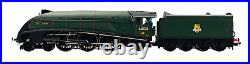 Hornby 00 Gauge R2615 Br 4-6-2 Class A4 60021'wild Swan' DCC Sound