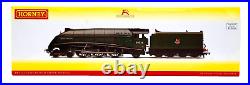 Hornby 00 Gauge R3522 Class A4'sir Murrough Wilson' 60002 DCC Tts Sound