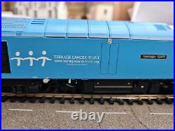 Hornby Class 60 60074'Teenage Spirit' DCC FITTED WITH SOUND