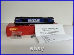 Hornby R30027. Class 60028 Helvellyn DCC Sound Fitted Cappagh Livery