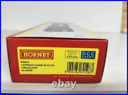 Hornby R30027. Class 60028 Helvellyn DCC Sound Fitted Cappagh Livery