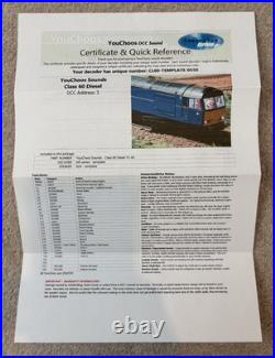 Hornby RR3479 OO Gauge Class 60 Locomotive Drax 60066 DCC Sound Zimo Excellent