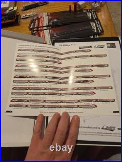 Rapido N Gauge Virgin Class 390 Pendolino DCC SOUND With Light Bars